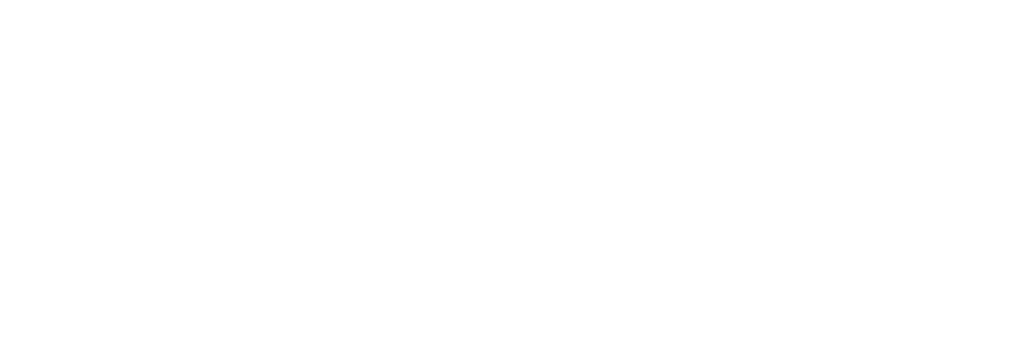 Guaranteed Irish logo